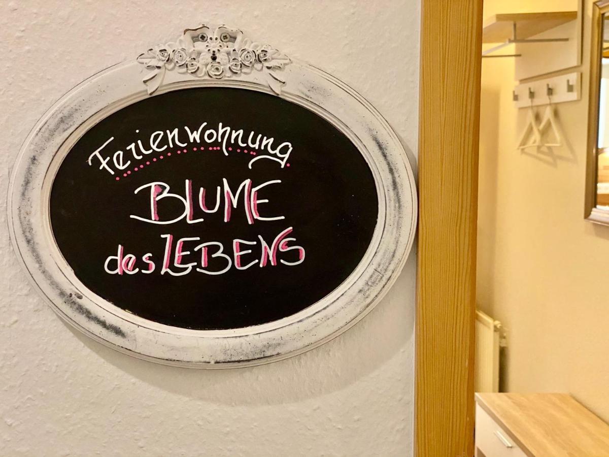 Ferienwohnung Gesundheitshof Denker Reußenköge Exterior foto